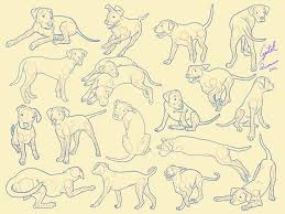 2572 votes and 204745 views on imgur: Puppy Reference By Little Bluefish On Deviantart Animal Drawings Animal Sketches Dog Drawing