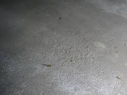 Easily Repair Your Pitted Or Spalled Garage Floor Garage Floor Concrete Garages Garage Exterior