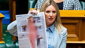 Why This New Zealand MP showed nude image of herself in Parliament | Fourth  Wave