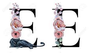 In some countries (e.g., norway,. Floral Watercolor Alphabet Monogram Initial Letter E Design With Hand Drawn Peony And Anemone Flower And Black Panther For Wedding Invitation Cards Logos Stock Photo Picture And Royalty Free Image Image 101737528