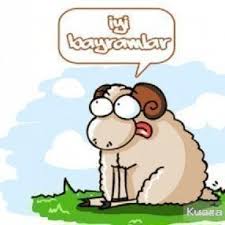 Itiraf Ve Ifsa Sayfasi 1 Yaman1 Twitter