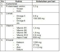 Kebutuhan Nutrisi Dan Mineral Ibu Hamil Nutrisi Hamil