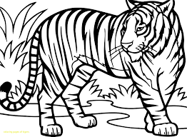 Tiger free coloring pages are a fun way for kids of all ages to develop creativity, focus, motor skills and color recognition. Coloring Tiger For Kids Drawing Drawing With Crayons