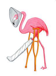 carte bon retablissement flamant rose par ameliecardsandprints dessin art sur le livre index couleur xl