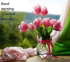 Good Morning Have A Nice Day Pink Tulips Pink Flowers Wallpaper Beautiful Flowers