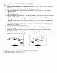 Positive, negative and interrogative forms and a last one for special cases (omission of the passive. Active Passive Transport Worksheet Printable Worksheets And Activities For Teachers Parents Tutors And Homeschool Families