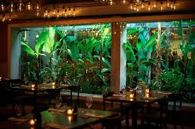 They come in variety of colors and sizes. 21 Best Restaurants In Puerto Rico Conde Nast Traveler