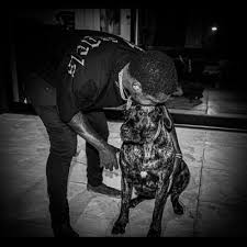 Spence baldwin (@baldwin_spence)