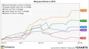 big marijuana is booming except for 1 stock nasdaq