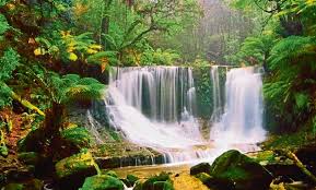 Tajuk soalan karangan yang bertemakan alam sekitar lazim digunakan dalam latihan dan juga peperiksaan. Perosaknya Ialah Manusia