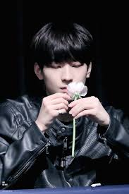 Wonwoo Jce Suami Suami Masa Depan
