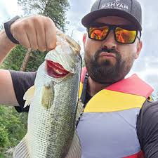 Lunkerhunt Compact Frog