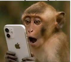 Rockville data requests often involve boxes and folders