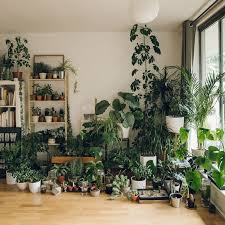 37 Amazing Indoor Plants Decor Ideas For Your Apartment Plant Decor Indoor In 2020 Plant Decor Indoor Apartment Plants Plant Decor