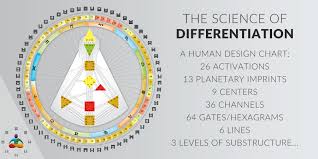 what is the human design system