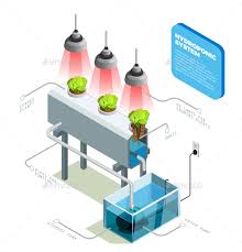 We did not find results for: Hydroponic Graphics Designs Templates From Graphicriver