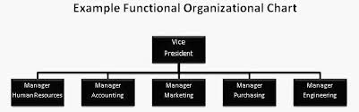Functional Org Chart Business Business Organizational