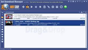 Download internet download manager now. Ant Download Manager Download For Free Softdeluxe