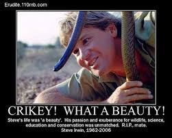 One Of My Mentors Rip Steve Irwin He Had Done So Much For Animal Conservation 3 Steve Irwin Irwin Family Crocodile Hunter