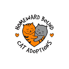 Julia came in with another mom cat and several kittens, as they were. Homeward Bound Cat Adoptions Nv Volunteer Connect