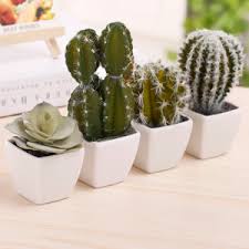 5% coupon applied at checkout save 5% with coupon. Amazon Com Mygift 5 Inch Mini Assorted Artificial Cactus Plants Faux Cacti Assortment In Square White Pots Set Of 4 Furniture Decor