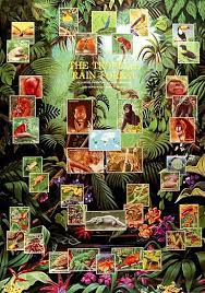 Tropical Rainforest Animals Poster 27x39 Rainforest Animals Tropical Rainforest Rainforest