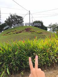 Check your local council website for full details. A Full Guide To Travel Cameron Highlands Malaysia Travel Guide Stories And Reviews The Broad Life