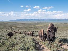 Der mitbesitzer des handelskonzerns tengelmann war am 7. Tengelmann Erben Wie Familie Haub Um Ihre Ranch In Wyoming Streitet Manager Magazin