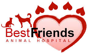 That's a lot cheaper than a lot of places. Best Friends Animal Hospital Pulaski County St Robert Missouri