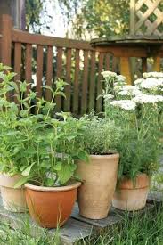 Krauter Anbauen Frische Gewurze Aus Dem Garten Krauter Pflanzen Topf Und Kubelpflanzen Gartendesign Ideen
