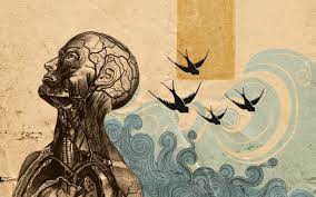 Abstract Anatomy Art Desktop Wallpaper Art Art Wallpaper Iphone Artistic Wallpaper