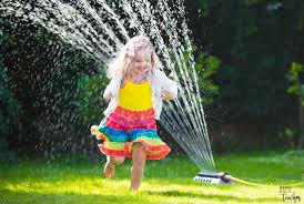 Would you rather live together in a forest or a desert? 25 Summer Would You Rather Questions For Kids Mama Teaches