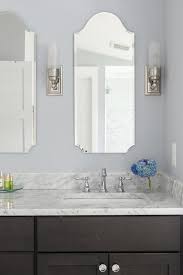 Blue and brown shower curtain. Dark Blue Bathroom Walls Design Ideas