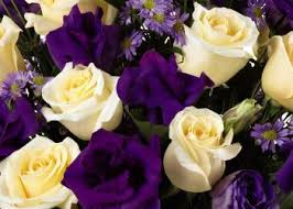 An essay is a short piece of writing, and it needs to have the correct level of quality matching your readers' interests. Florists