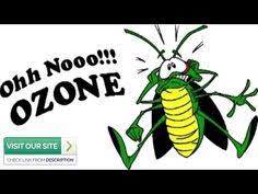 Family owned since 1967, phoenix pest & termite control is a certified, licensed and insured pest control company serving phoenix, tucson and mohave county, arizona. Sg Bug Sgbug1 Profile Pinterest