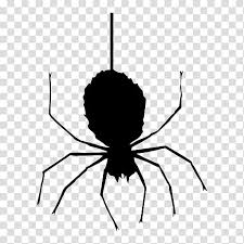 7) orange and black bugs. Black Halloween Spider Pasteurinstituteindia Com