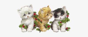 Get a weekly dose of stories on friendship, love, misadventures and special offers. Cat Transparent Png Kitty Kitten Cats Kittens Christmas Gatitos Animados Con Movimiento Gif Png Image Transparent Png Free Download On Seekpng