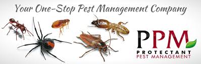 One stop termite and pest control inc. Pest Termite Control Company Protectant Pest Management