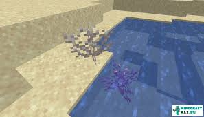 Is there a way to get silk touch in minecraft? Dead Brain Coral Dead Coral How To Craft In Minecraft