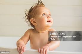 381 Sue Peck Stock Photos, High-Res Pictures, and Images