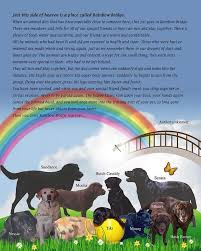 Your Pet Will Wait For You At The Rainbow Bridge Healthy And Happy Long After They Have Past Rainbow Bridge Dog Rainbow Bridge Pet Sympathy