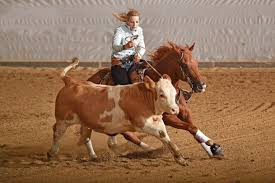 Ich sollte hier jetzt ein paar worte loswerden, die mich bzw. Dieses Cowgirl Hat Alles Im Griff