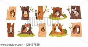 Owl in tree hole cartoon. Set Animals Birds Vector Photo Free Trial Bigstock