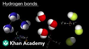 Is Hf A Hydrogen Bond? - Quora