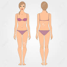 The anatomical names and corresponding common names are indicated for specific body regions. Drawings Of Woman Body Figure Front And Back Flat Design Draft Royalty Free Cliparts Vectors And Stock Illustration Image 35951953