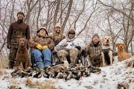 Image result for chesapeake bay retrívr