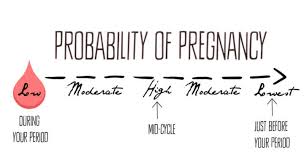 Am I Pregnant Calculate Your Chances Of Getting Pregnant