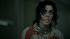 Who is Sofia Falcone in HBO's The Penguin?