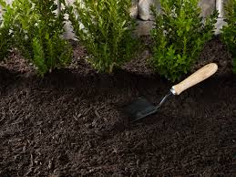 The product can be used as a top dressing or a seed cover with new and established lawns. Black Kow Cow Manure 50 Lb Walmart Com Walmart Com