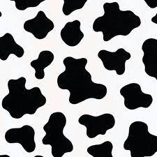 Black And White Cow Print Background On My Mind Doodle Day July Day 28 Cow Print Wallpaper Print Wallpaper Picture Collage Wall